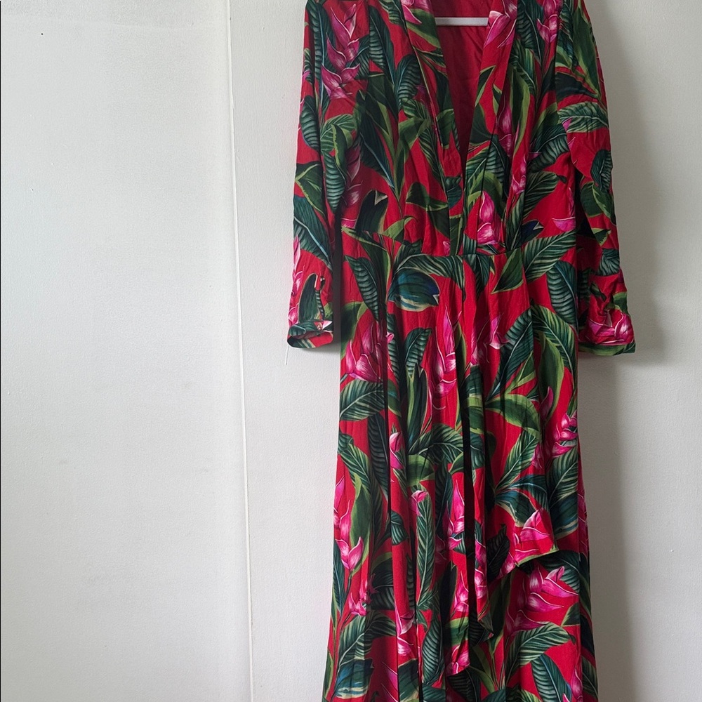 Farm Rio Garden Floral Maxi Dress Long Sleeve V Neck Size Large Tropical Boho